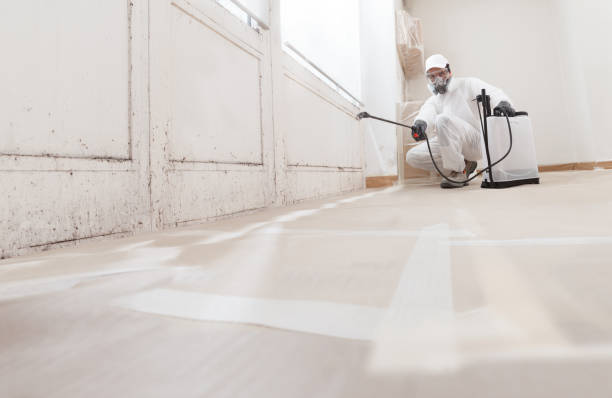 24/7 Emergency Mold Remediation experts in Lexington, KY