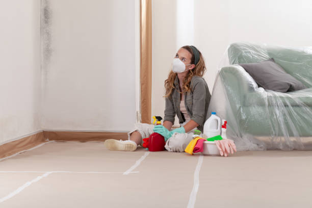 Reliable Mold Remediation contractor in Lexington, KY by 24 Hour Mold Removal